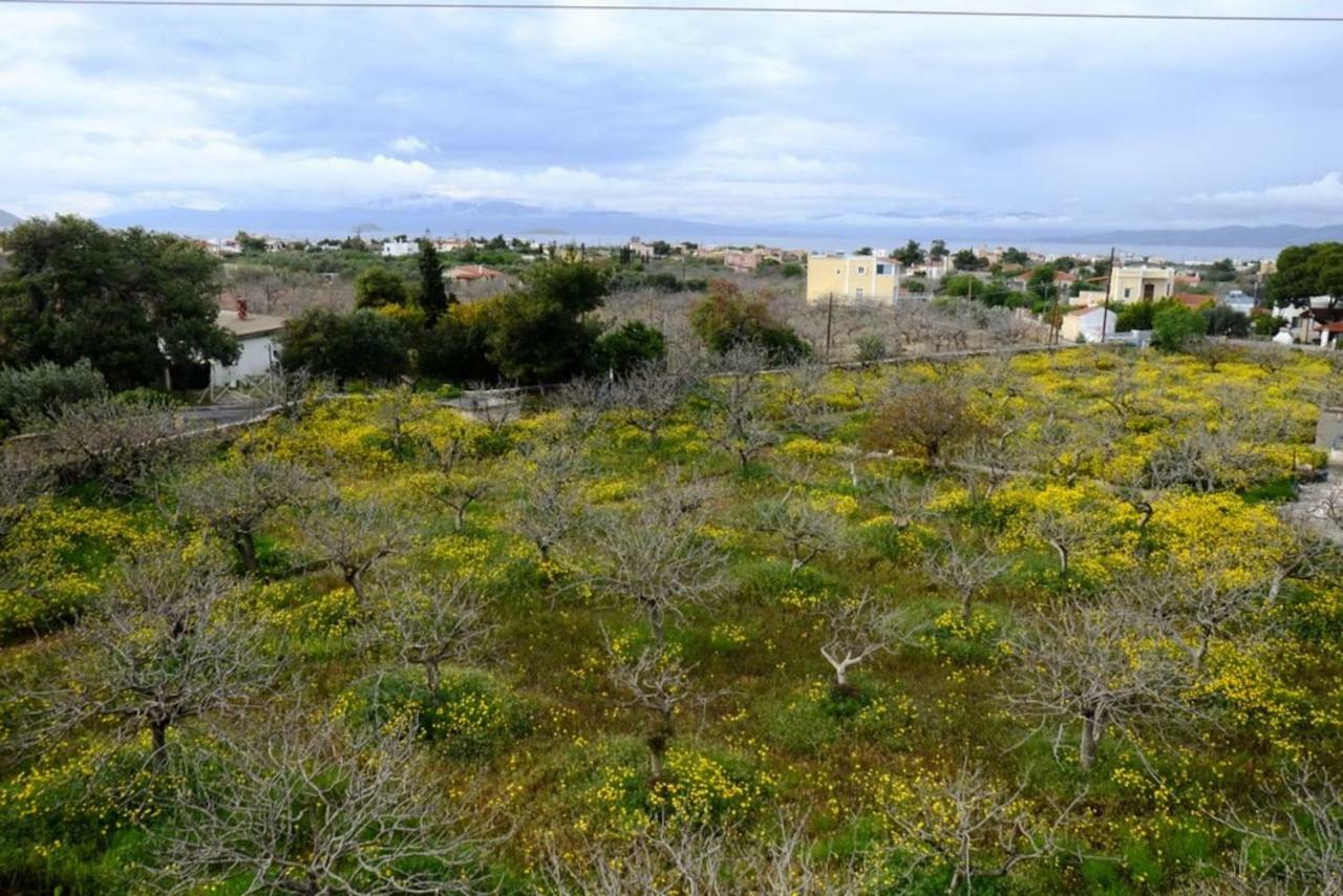 Villa Konstantinos Aegina المظهر الخارجي الصورة